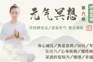 【捐赠39.9[红包]·《形气神静修堂-元气冥想（第六期）疗愈静修营（5月27开营）》】 【原版无水印】