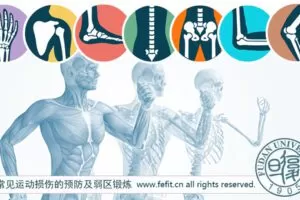 【捐赠19.9[红包]·《FitEmpire健身领域-常见运动损伤的预防及弱区锻炼》】 【原版无水印】