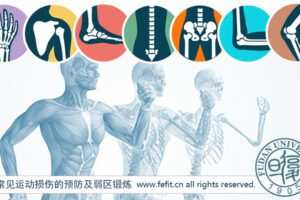 【捐赠19.9[红包]·《FitEmpire健身领域-常见运动损伤的预防及弱区锻炼》】 【原版无水印】
