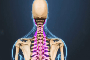 【捐赠19.9[红包]·《FitEmpire健身领域-林烁运动解剖学》】 【原版无水印】