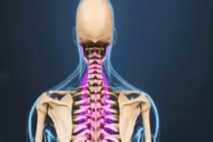 【捐赠19.9[红包]·《FitEmpire健身领域-林烁运动解剖学》】 【原版无水印】