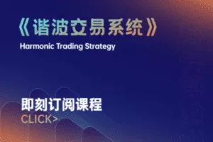 【捐赠98.0[红包]·《技术流兔子-谐波交易系统》】