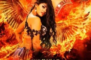 【捐赠49.9[红包]·《北京SIOD东方舞网校-【第六季】凤凰传说》】 【原版无水印】