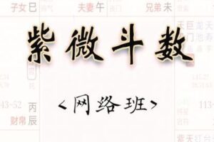 【捐赠39.9[红包]·《Z0357-融易堂-数斗微紫》】