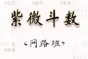 【捐赠39.9[红包]·《Z0357-融易堂-数斗微紫》】