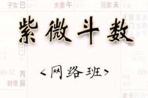 【捐赠39.9[红包]·《融易堂-数斗微紫》】