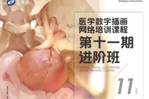 【捐赠79.9[红包]·《一目可视-医学插画网络班·第十一期·进阶班》】 【原版无水印】