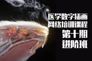 【捐赠79.9[红包]·《一目可视-医学插画网络班·第十期·进阶班》】 【原版无水印】