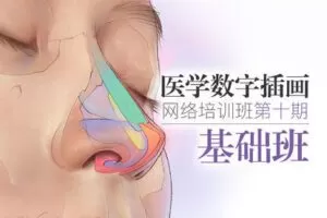 【捐赠69.9[红包]·《一目可视-医学插画网络班第十期·基础班》】 【原版无水印】