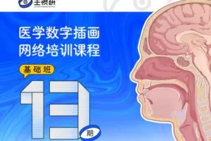 【捐赠69.9[红包]·《一目可视-医学插画网络班·第13期·基础班》】 【原版无水印】
