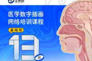 【捐赠69.9[红包]·《一目可视-医学插画网络班·第13期·基础班》】 【原版无水印】