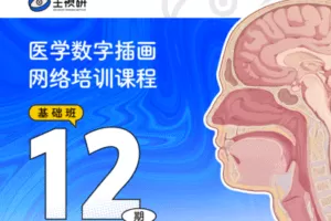 【捐赠69.9[红包]·《一目可视-医学插画网络班·第12期·基础班》】 【原版无水印】