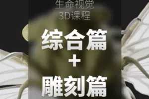 【捐赠149.9[红包]·《一目可视-生命视觉3D课程综合篇+雕刻篇》】 【原版无水印】