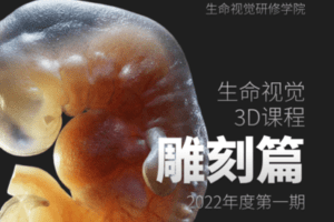 【捐赠109.9[红包]·《一目可视-生命视觉3D课程雕刻篇第一期》】 【原版无水印】