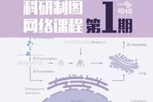 【捐赠89.9[红包]·《一目可视-科研制图网络课程·第一期》】 【原版无水印】