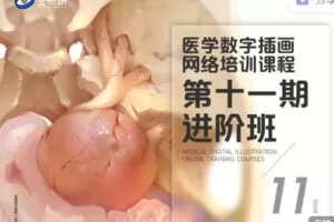 【捐赠69.99红包]·《医学插画网络班·第十一期·进阶班】