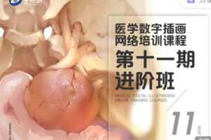 【捐赠69.99红包]·《医学插画网络班·第十一期·进阶班】
