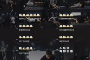 【捐赠19.9[红包]·《Z0530-臀部靶位训练-肩部训练》】