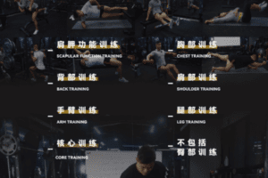 【捐赠19.9[红包]·《臀部靶位训练-胸部训练》】