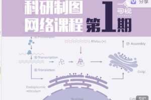 【捐赠69.99红包]·《一目可视-科研制图网络课程·第一期】