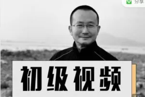 【捐赠39.99红包]·《丸子聊心理-曾奇峰 65集初级精神分析视频】