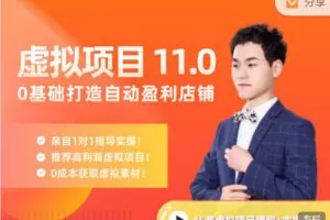 【捐赠39.99红包]·《陆明明课堂-虚拟项目特训班 11.0】