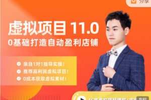 【捐赠39.99红包]·《陆明明课堂-虚拟项目特训班 11.0】
