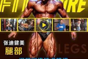 【捐赠14.9[红包]·《FitEmpire健身领域-张迪腿部训练专项课程》】 【原版无水印】