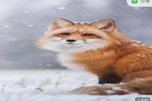 【捐赠16.99红包]·《让智慧照亮人生-花荣 股海觉醒录 （修炼36变）】