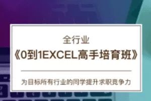 【39.9[红包]·C0162【CareerBuddy】全行业-0到1Excel高手培育班】