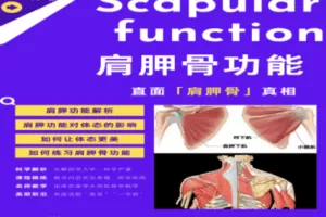 【捐赠39.9[红包]·《臀部孤立训练学院-全方位肩胛骨功能性训练》】