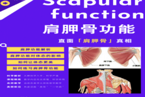 【捐赠39.9[红包]·《臀部孤立训练学院-全方位肩胛骨功能性训练》】