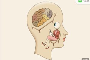 【捐赠9.99红包]·《第2身份-（含课件）人人都需要的情绪减压课】