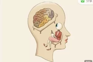 【捐赠9.99红包]·《第2身份-（含课件）人人都需要的情绪减压课】