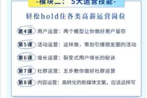 【捐赠9.99红包]·《前360资深运营专家朱少锋：11堂课顶级运营独门速成心法，零基础也能月入10万】