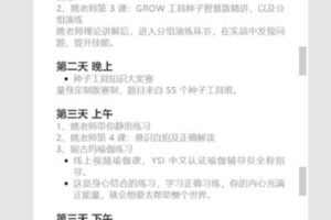 【捐赠69.99红包]·《原钻掌心-【高绩效拆解力双研社】总第6期 （线上）】
