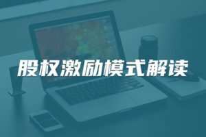 【捐赠19.9[红包]·《Z4700-董秘俱乐部-股权激励模式解读299》】