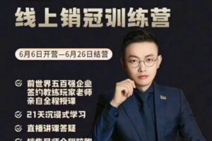 【捐赠39.9[红包]·《D0154-玩家学堂线上销冠训练营》】 【原版无水印】