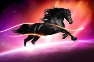 【捐赠189.9[红包]·《Z4751-猫哥课堂-东方玉猫双均线布林技术体系-高级课程9000》】 【原版无水印】