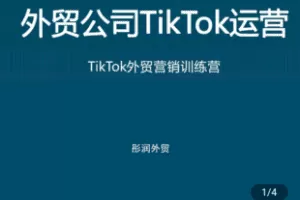 【捐赠1.9[红包]·《Z4797-学浪-Tiktok来做外贸运营实战》】 【原版无水印】