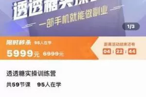 【捐赠29.9[红包]·《D0160-透透糖实操训练营》】 【原版无水印】