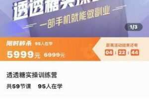 【捐赠29.9[红包]·《D0160-透透糖实操训练营》】 【原版无水印】