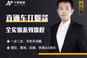 【捐赠29.9[红包]·《宁静数据化运营-直通车打爆款全实操系列课程》】