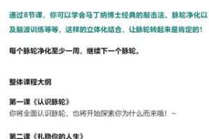 【捐赠19.99红包]·《小纳云学堂-脉轮净化系列：课程讲解与冥想训练】