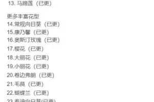 【捐赠79.99红包]·《funcandles香薰蜡烛手-粘土花卉全能进阶大课程】