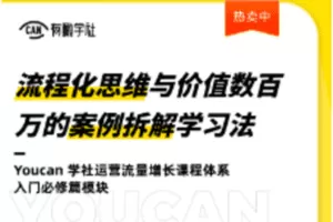 【捐赠9.9[红包]·《Z1039-有瞰学社-流程化思维与价值数百万的案例拆解学习法》】