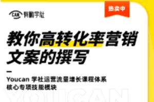 【捐赠9.9[红包]·《Z1043-有瞰学社-手把手教你高转化率营销文案的撰写》】