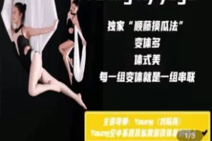 【捐赠3.9[红包]·《Z4993-导师Young空中系统培训-二三级空中艺术系列课【二三级网红体式篇】》】 【原版无水印】