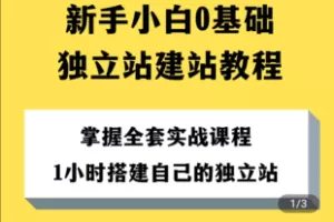 【捐赠29.9[红包]·《Z5028-小马丁-搭建跨境电商独立站，支持收款，自动同步商品，对接物流》】 【原版无水印】