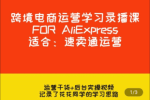 【捐赠29.9[红包]·《Z5030-陈大花花-跨境电商速卖通运营系统学习录播课程外贸电子商务职业技能》】 【原版无水印】